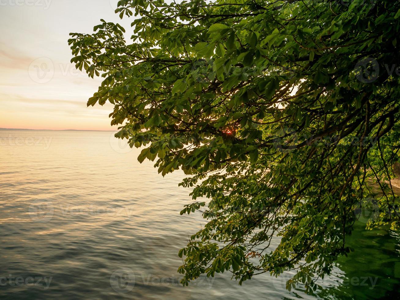 lindau at the lake constance in germany photo