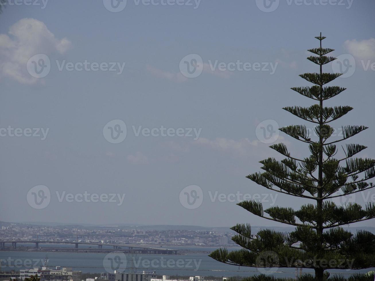 the city of tunis in tunisia photo