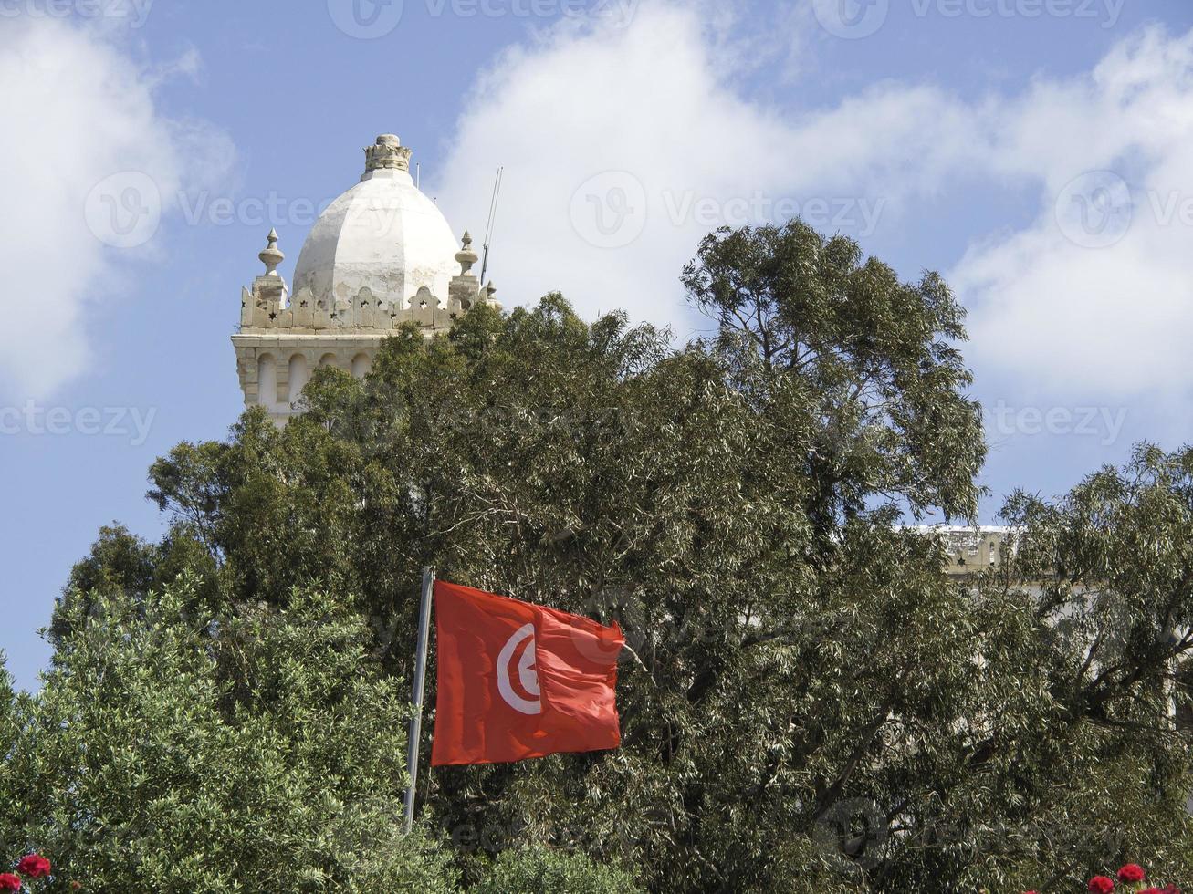 the city of tunis in tunisia photo