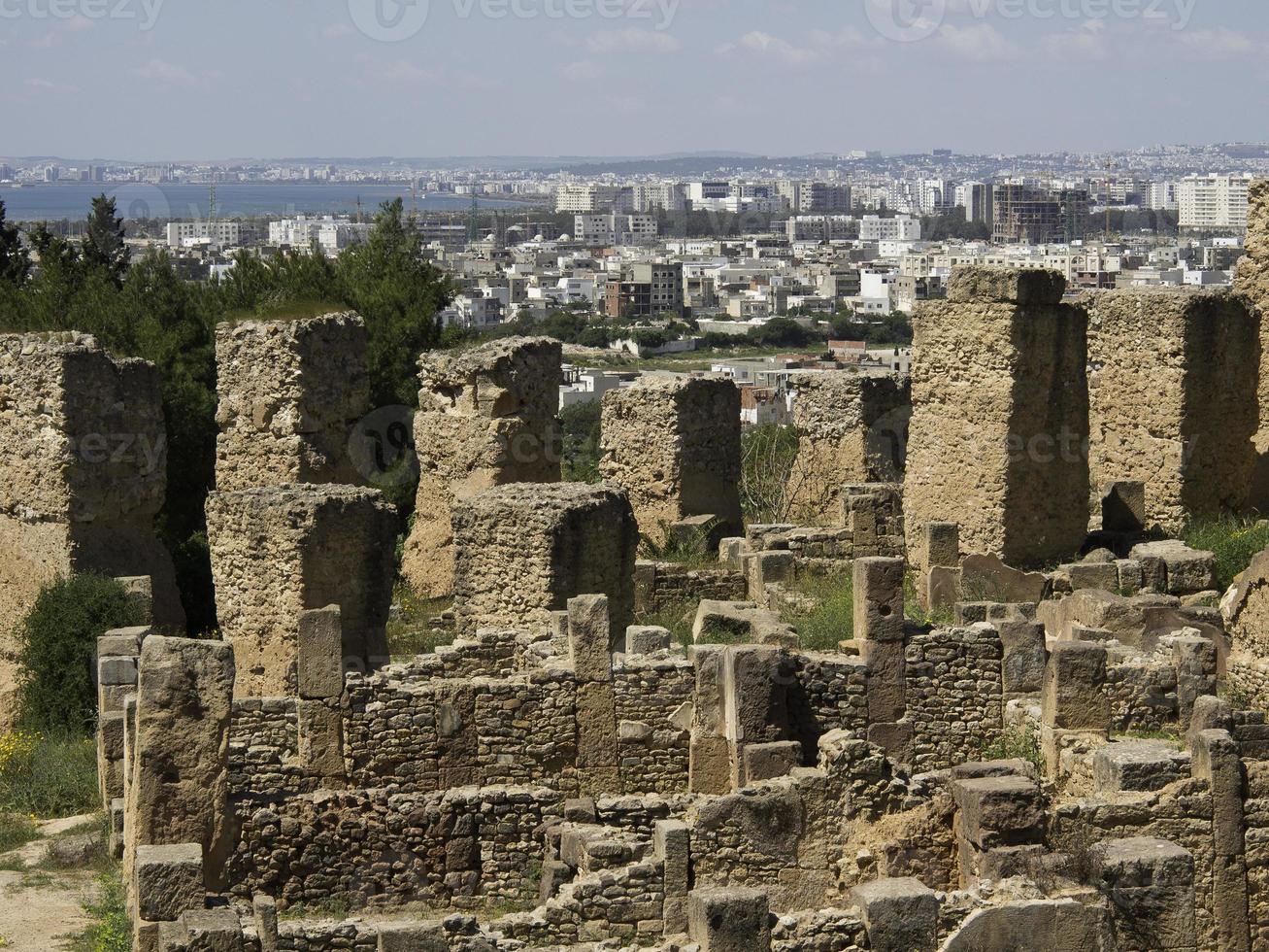the city of tunis in tunisia photo