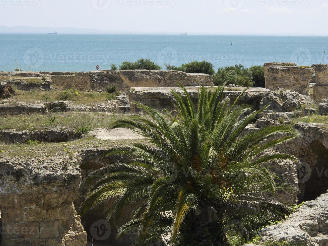 the city of tunis in tunisia photo