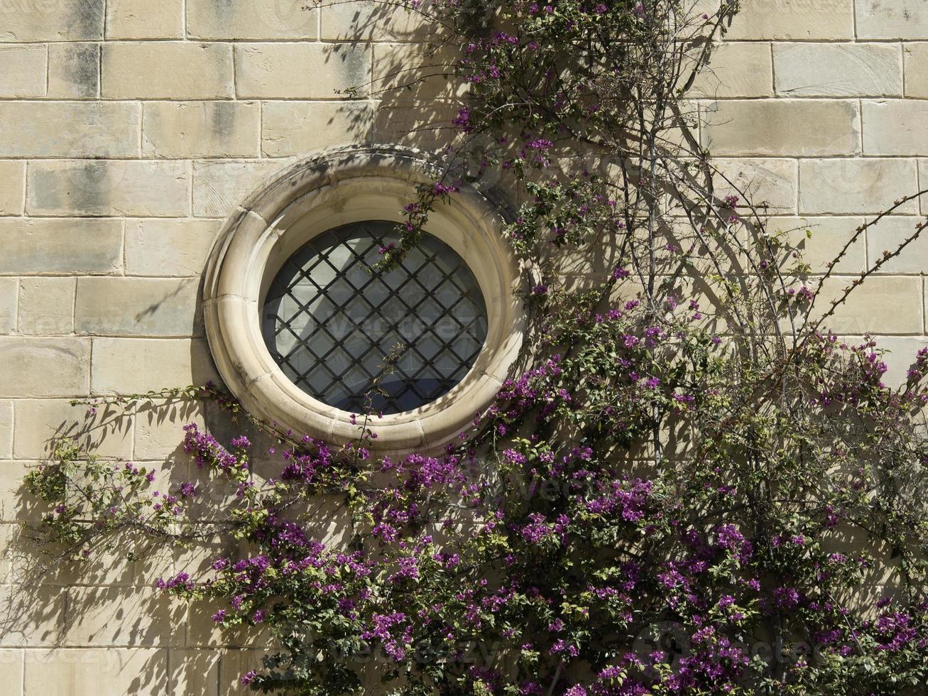 the old city of Mdina on malta photo