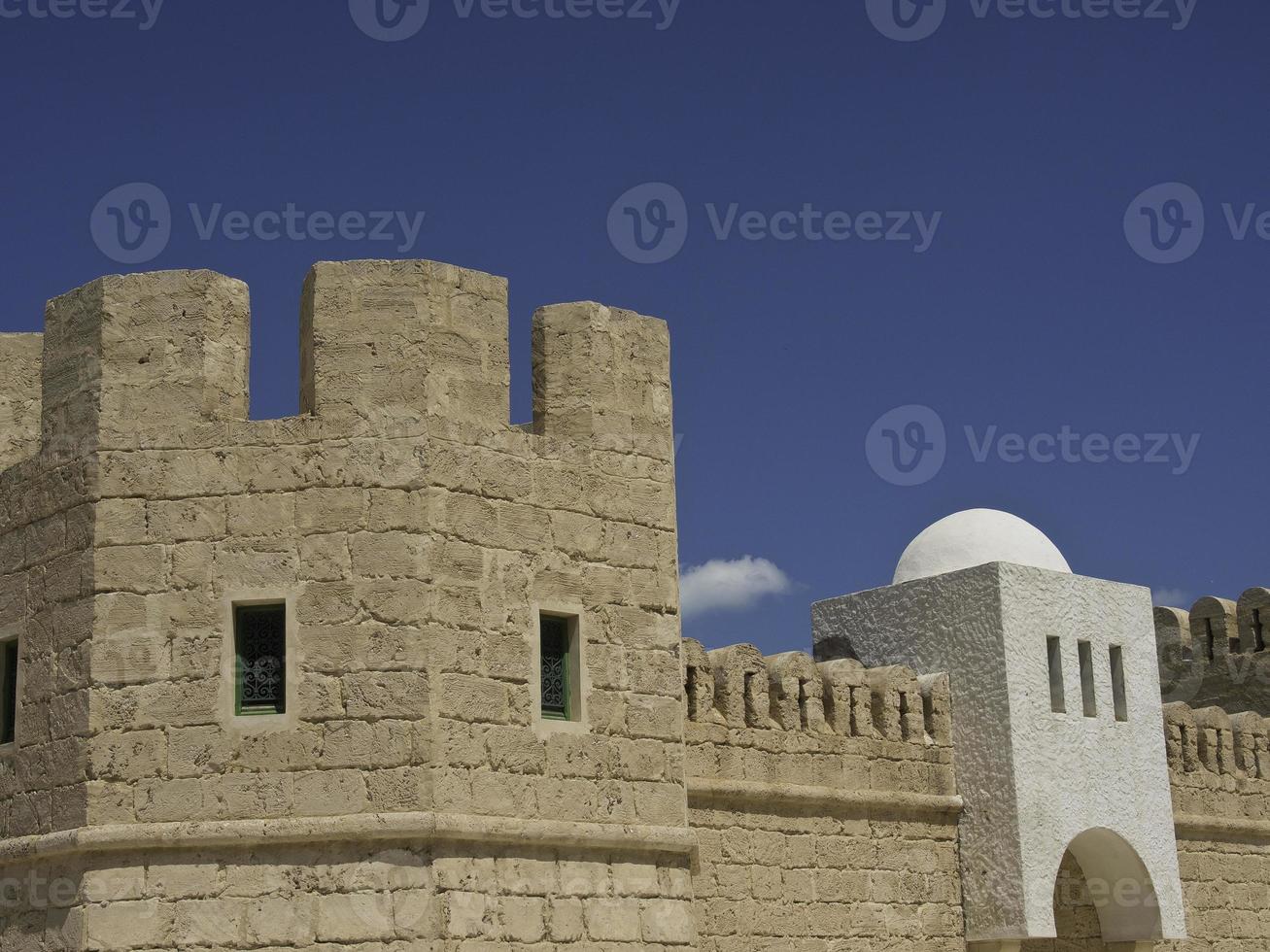 the city of tunis in tunisia photo