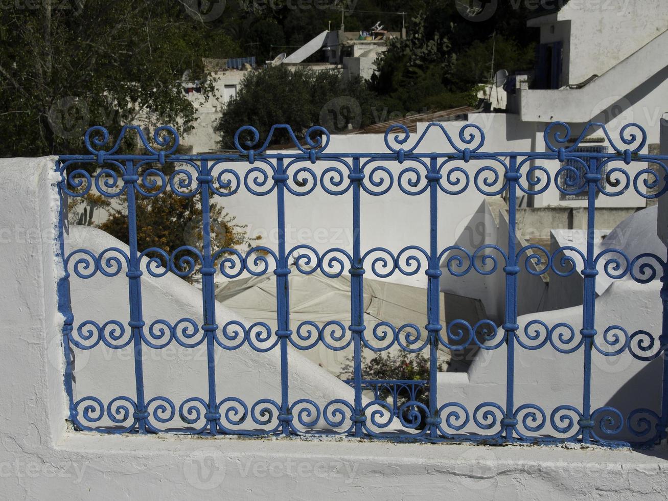 the city of tunis in tunisia photo