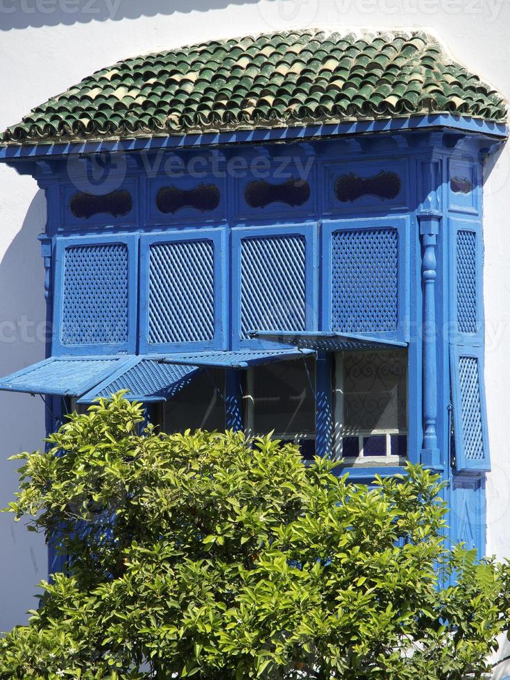 the city of tunis in tunisia photo