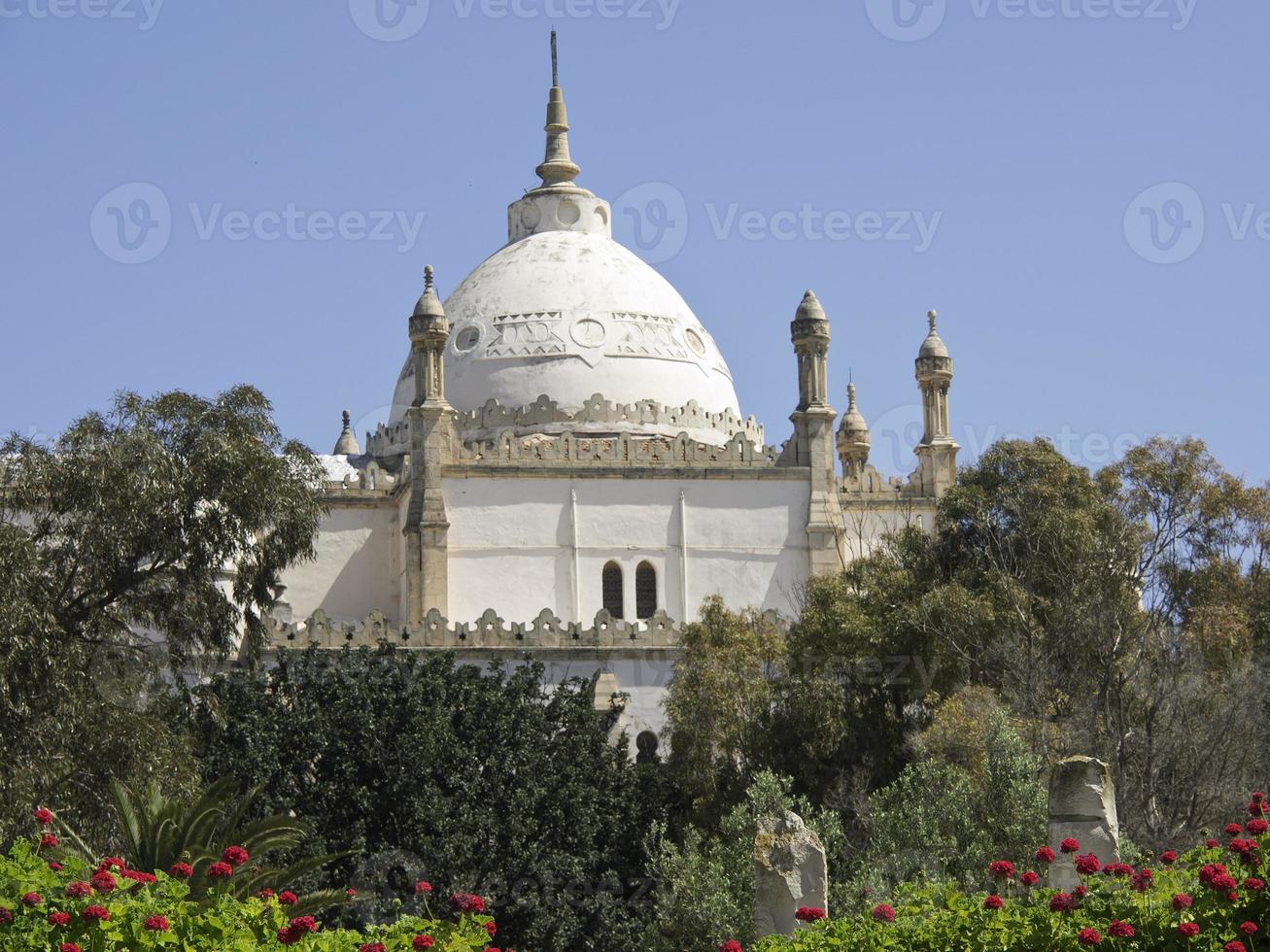 the city of tunis in tunisia photo