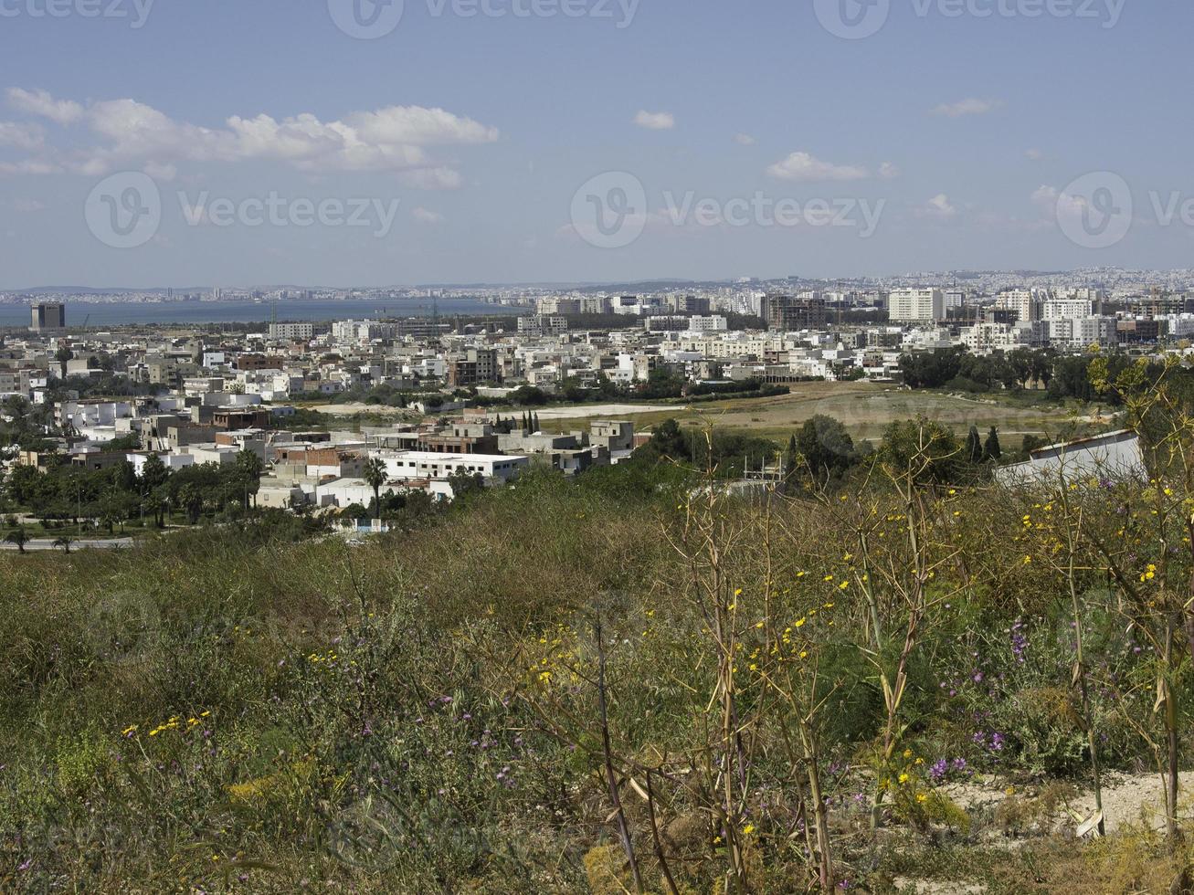 the city of tunis in tunisia photo