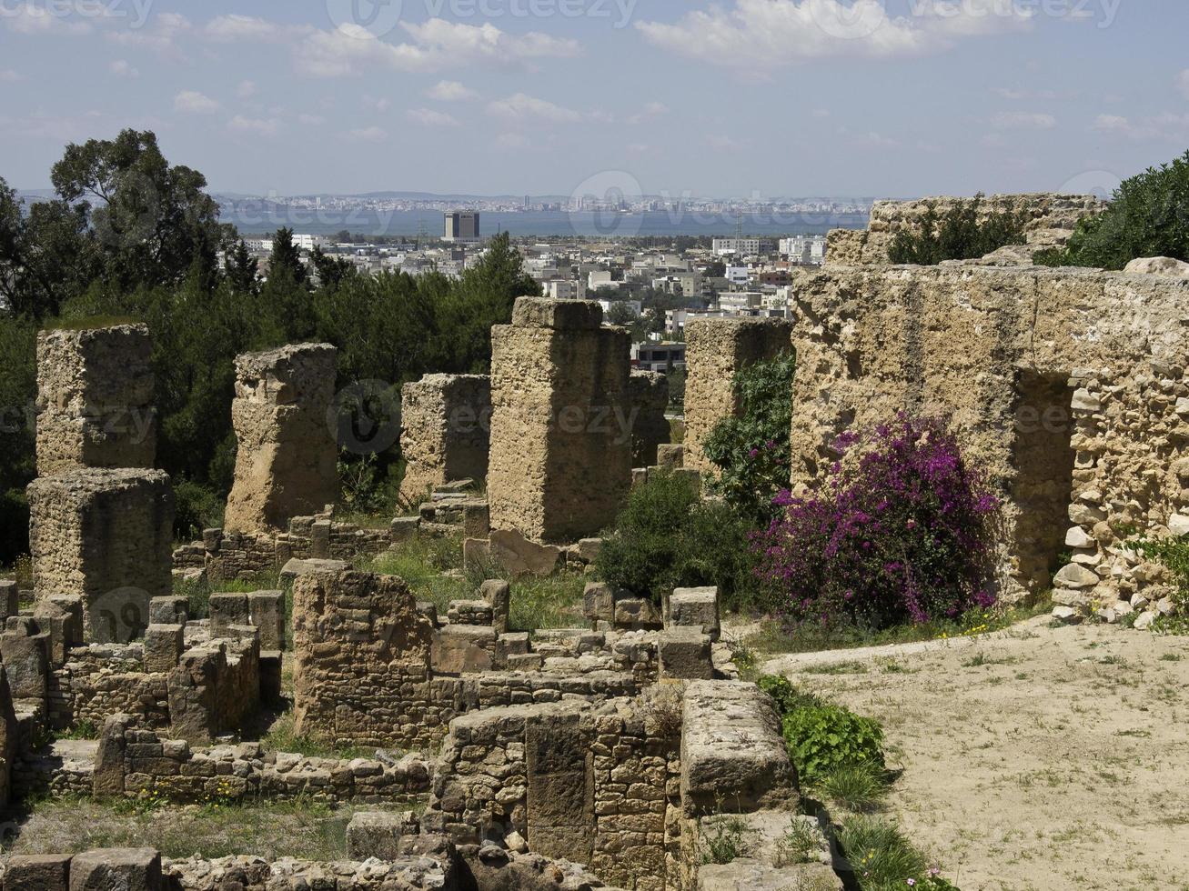 the city of tunis in tunisia photo