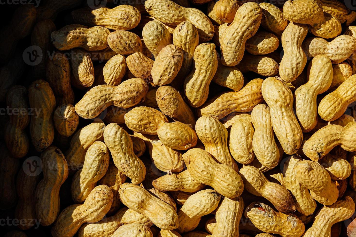 a stack of different nut tree fruits photo