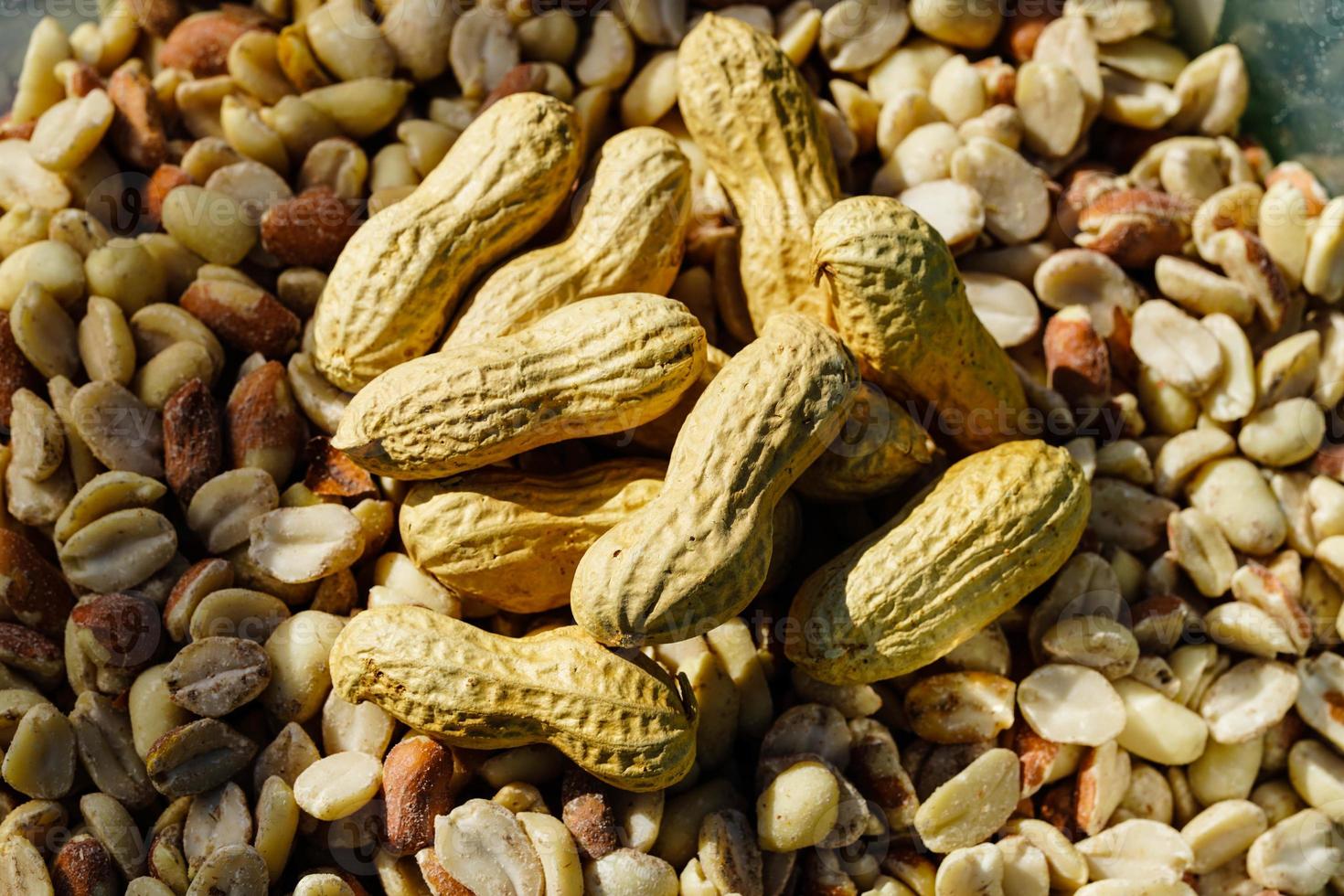 a stack of different nut tree fruits photo
