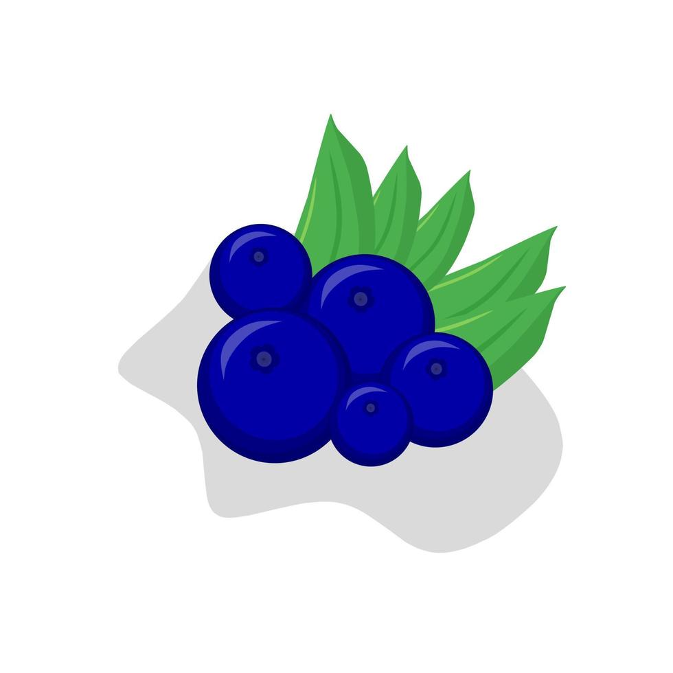 imagen de ilustración de fruta de baya azul.icono de fruta de baya azul.frutas vector