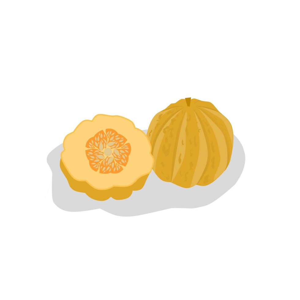 Cantaloupe fruit illustration image.Cantaloupe icon.Fruits vector