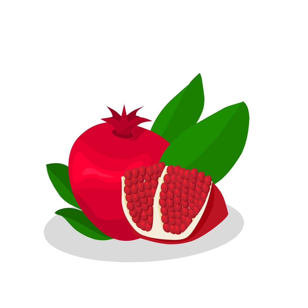 imagen de ilustración de fruta de granada .icono de fruta de granada .frutas vector