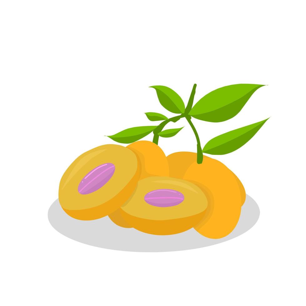 Marian plum fruit illustration. Marian plum fruit icon. Fruits vector