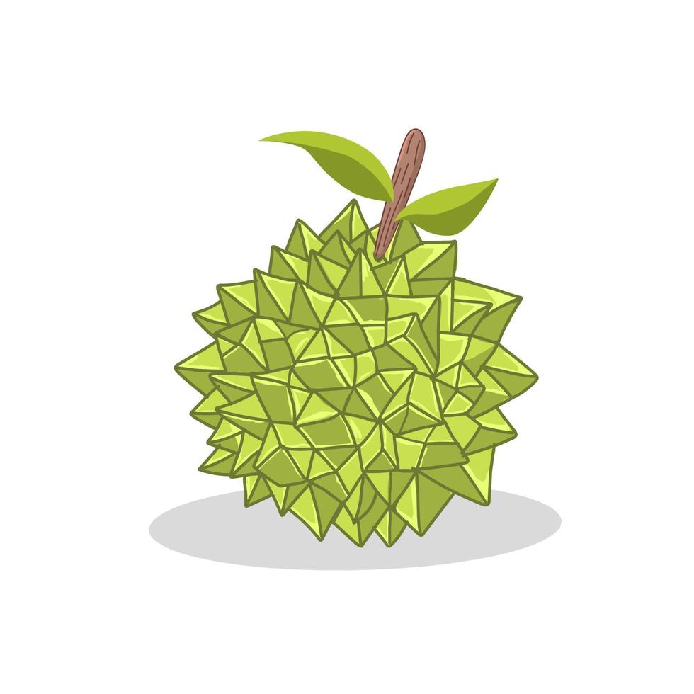 Durian fruit illustration image. Durian fruit icon .Fruits vector