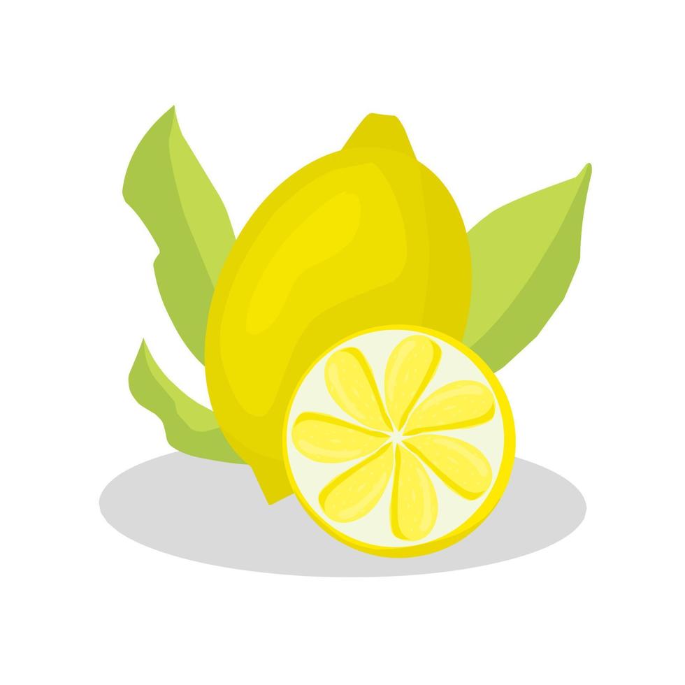 Lemon fruit illustration. Lemon fruit icon. Fruits vector