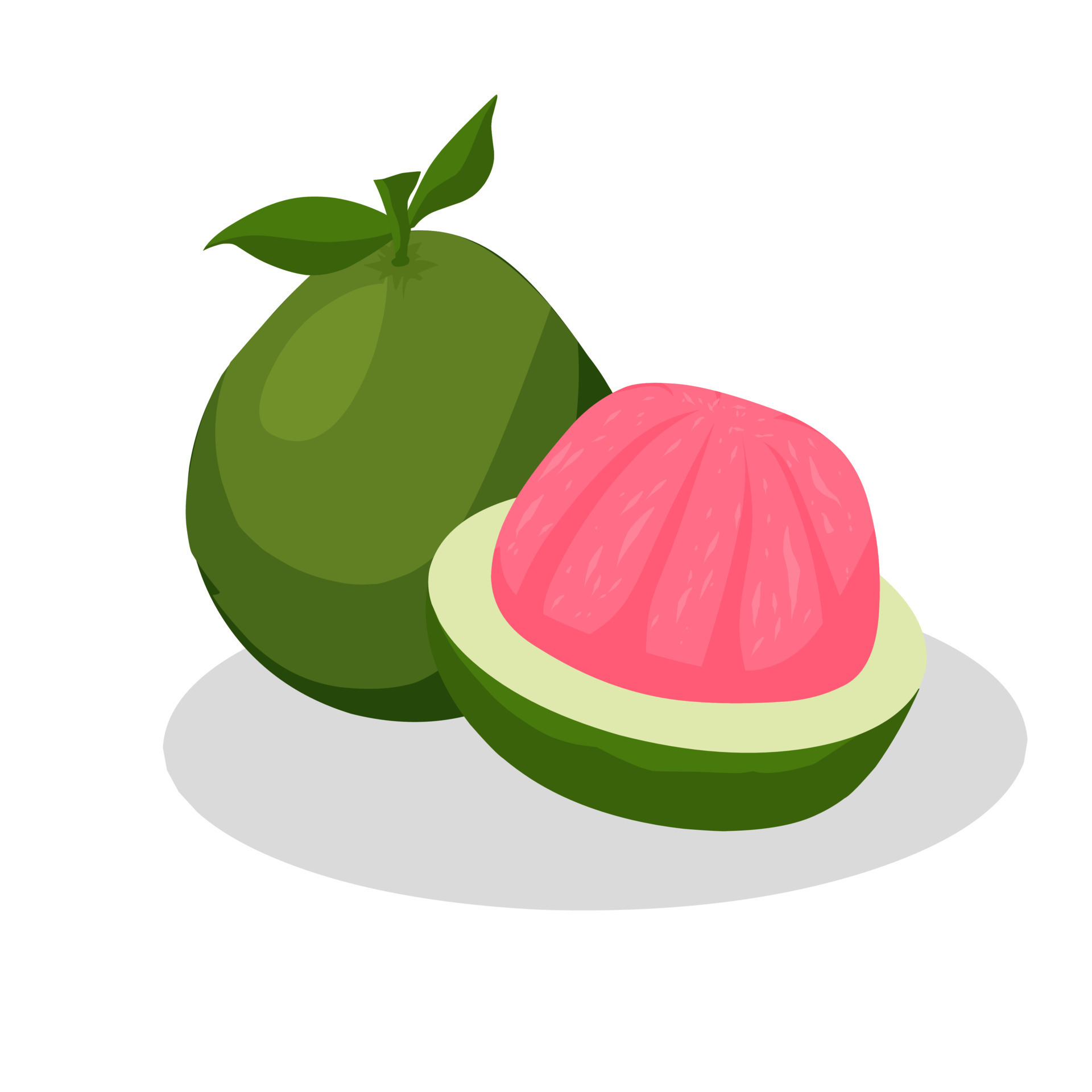 Pomelo fruit illustration. Pomelo fruit icon. Fruits 8599255 Vector Art