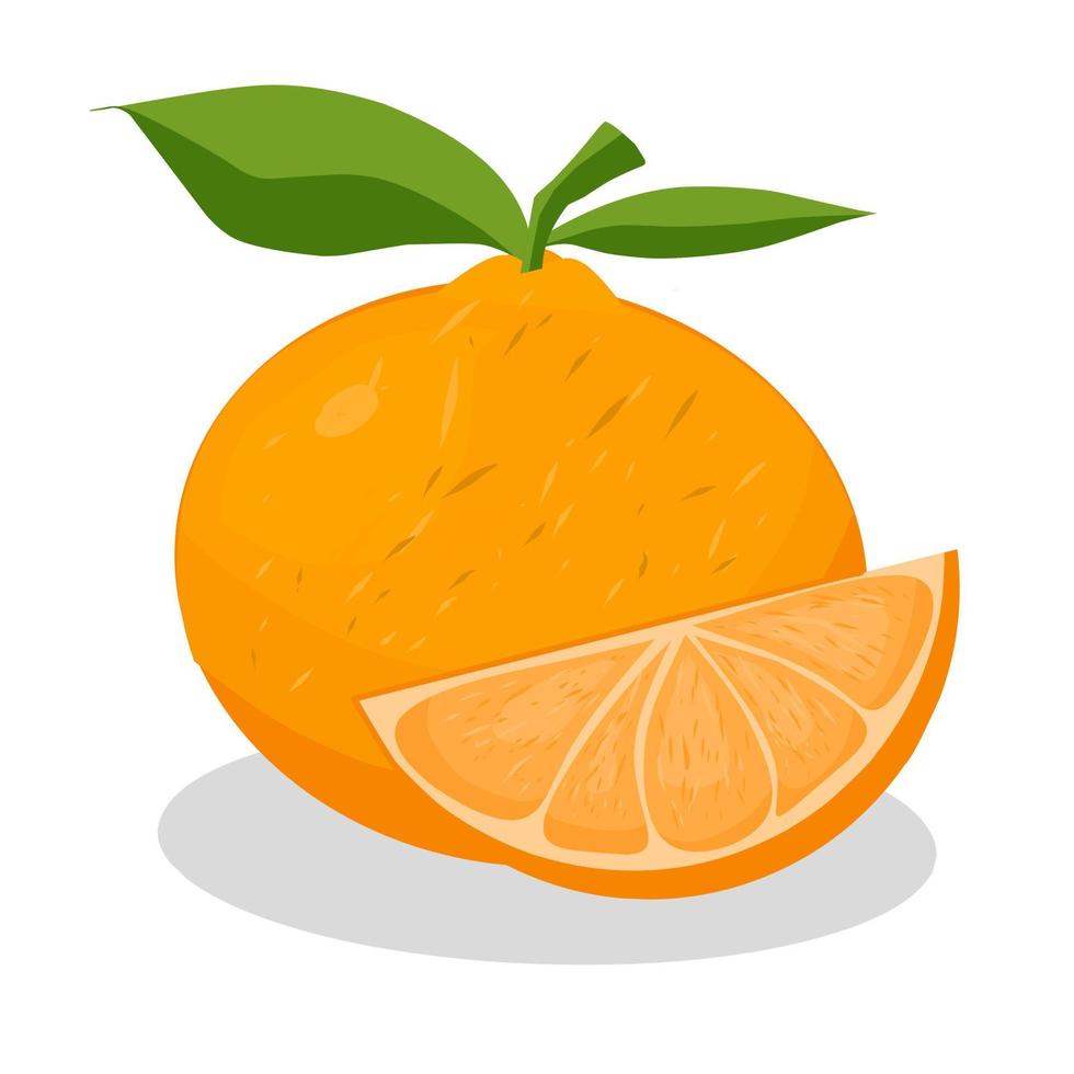 imagen de ilustración de fruta de mandarina. icono de la fruta de mandarina. frutas vector