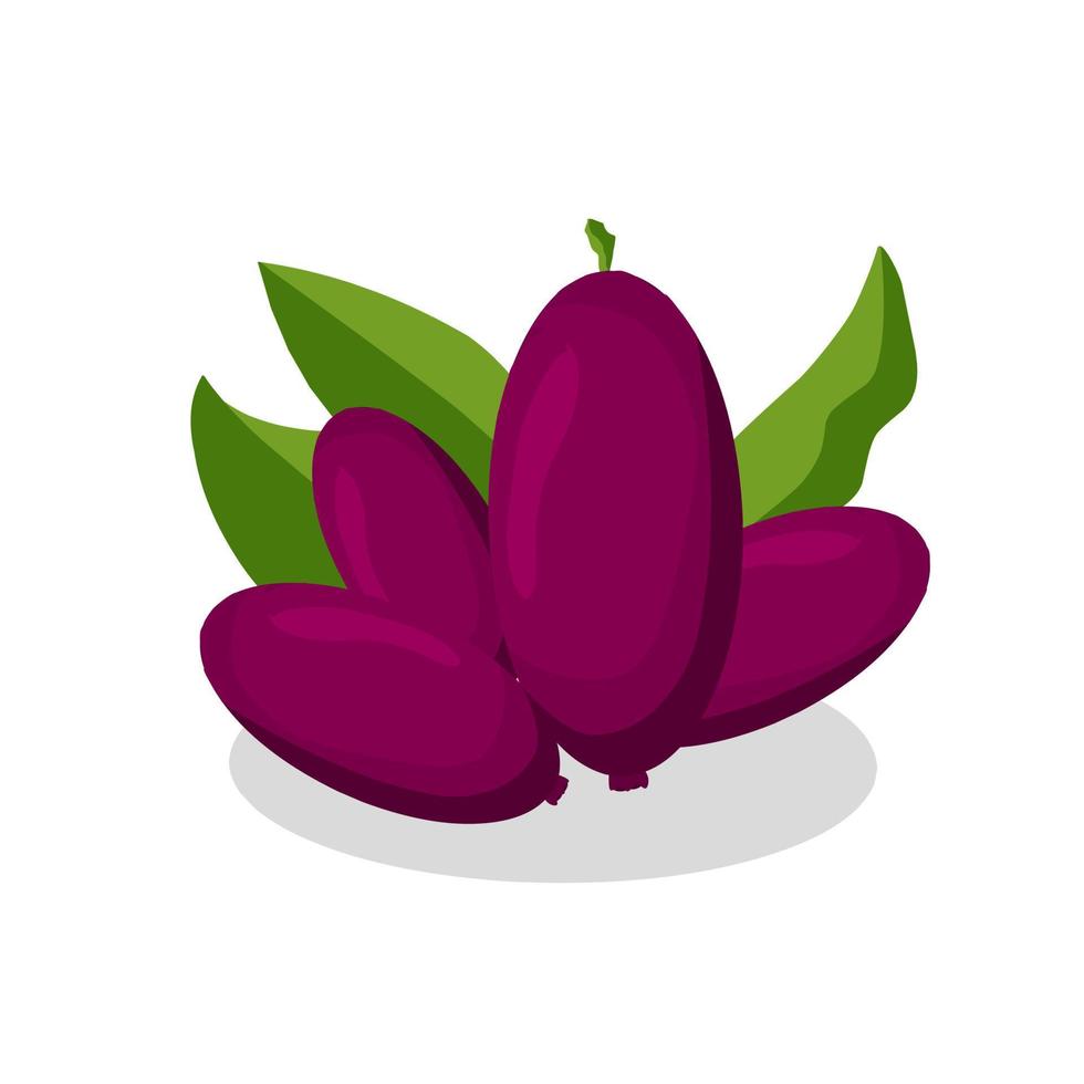 ilustración de jamun fruit.jamun fruit icon.fruits vector