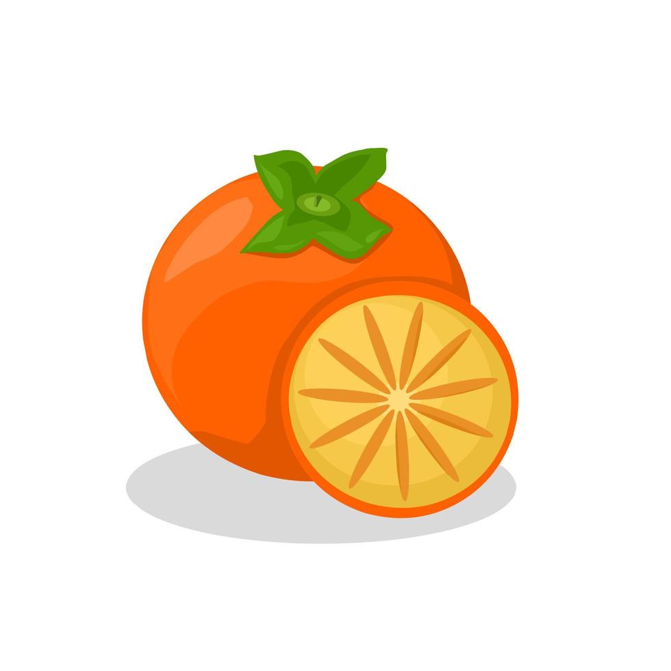 ilustración de fruta de caqui .icono de fruta de caqui.frutas vector