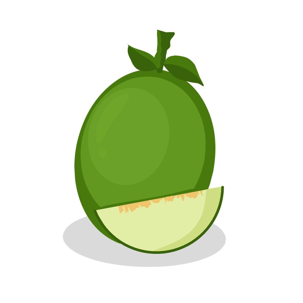 Illustration of ambarella fruit.ambarella fruit icon.fruits vector