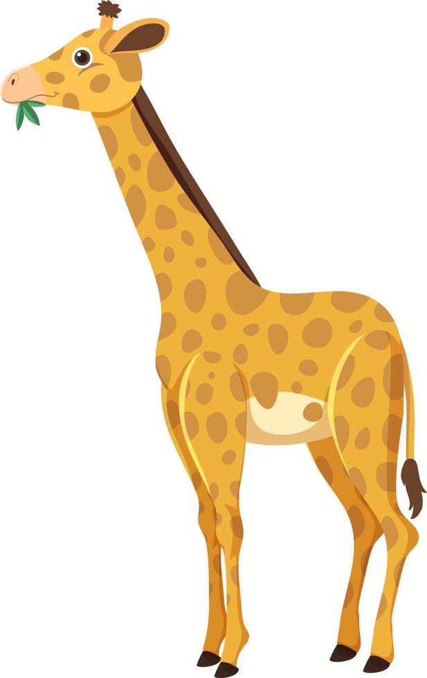 Side of giraffe in flat cartoon style vector