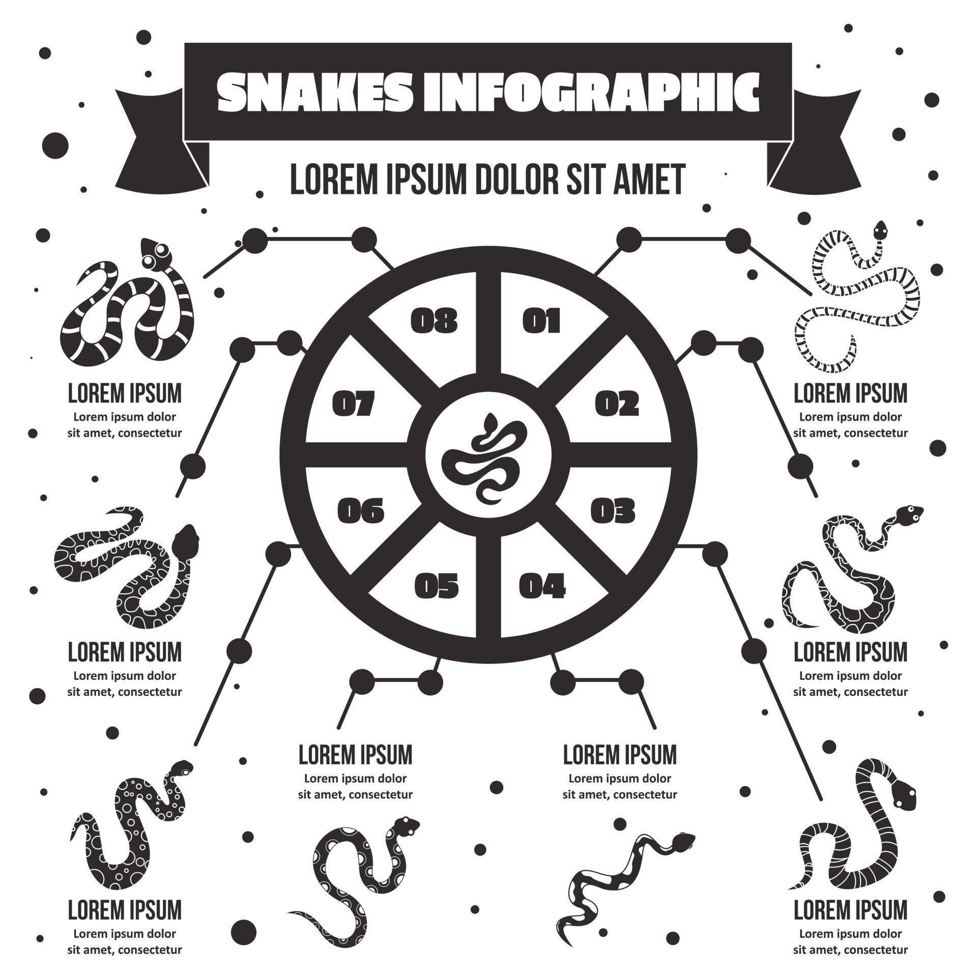 Snake infographic concept, simple style 8600716 Vector Art at Vecteezy