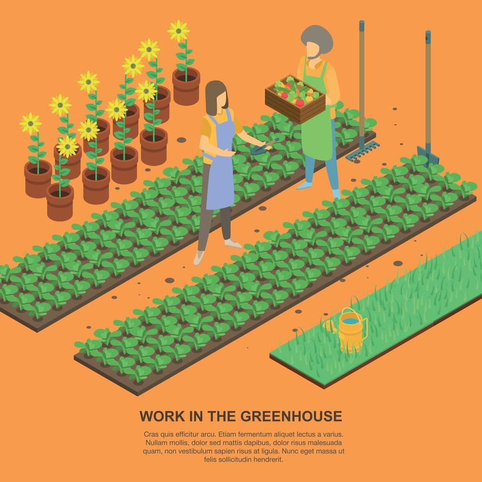 Work in greenhouse banner, isometric style vector