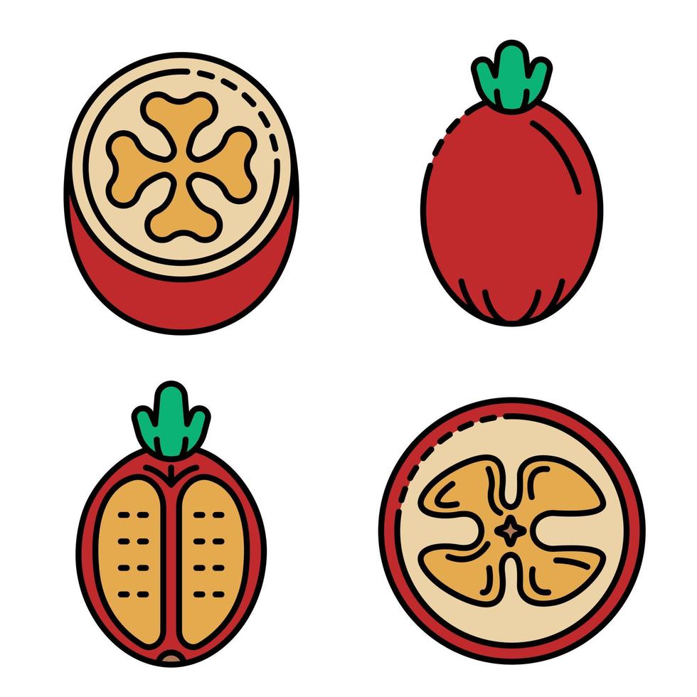 Feijoa icons set vector flat