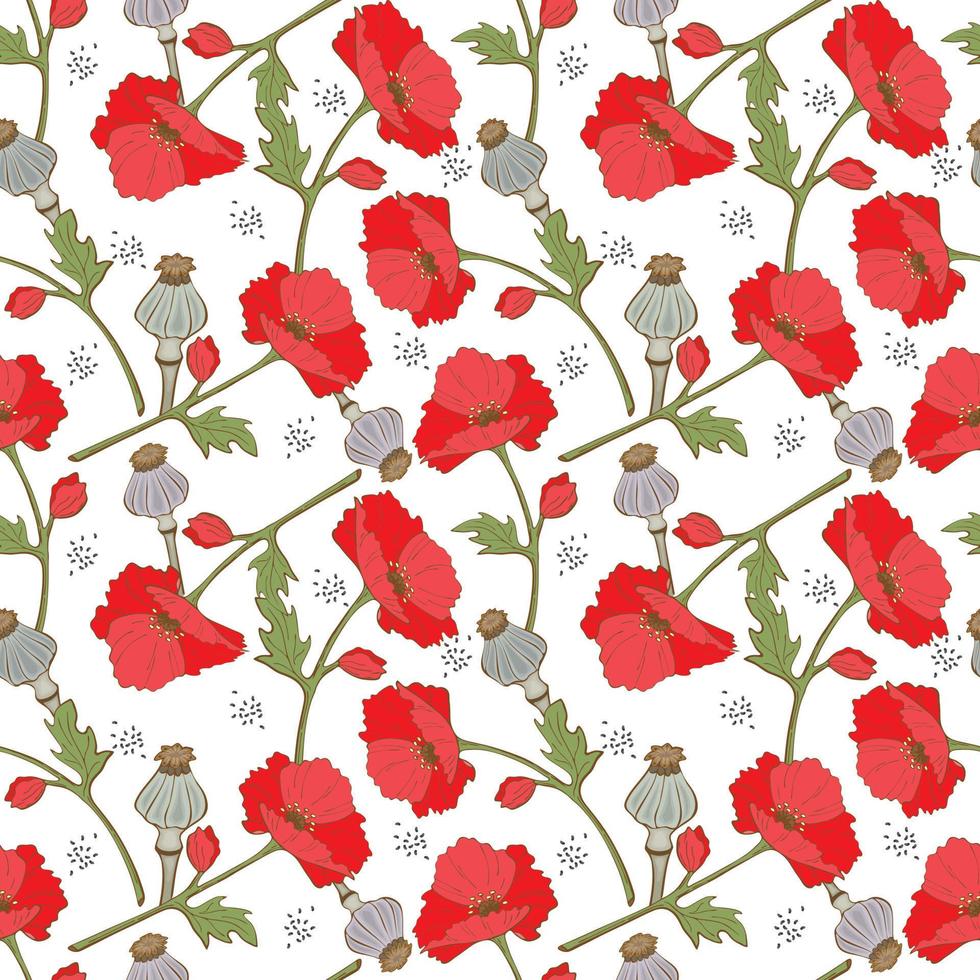Pattern Poppy flowers seeds and poppy pods, hand drawn in doodle style, white background. Vector illustration