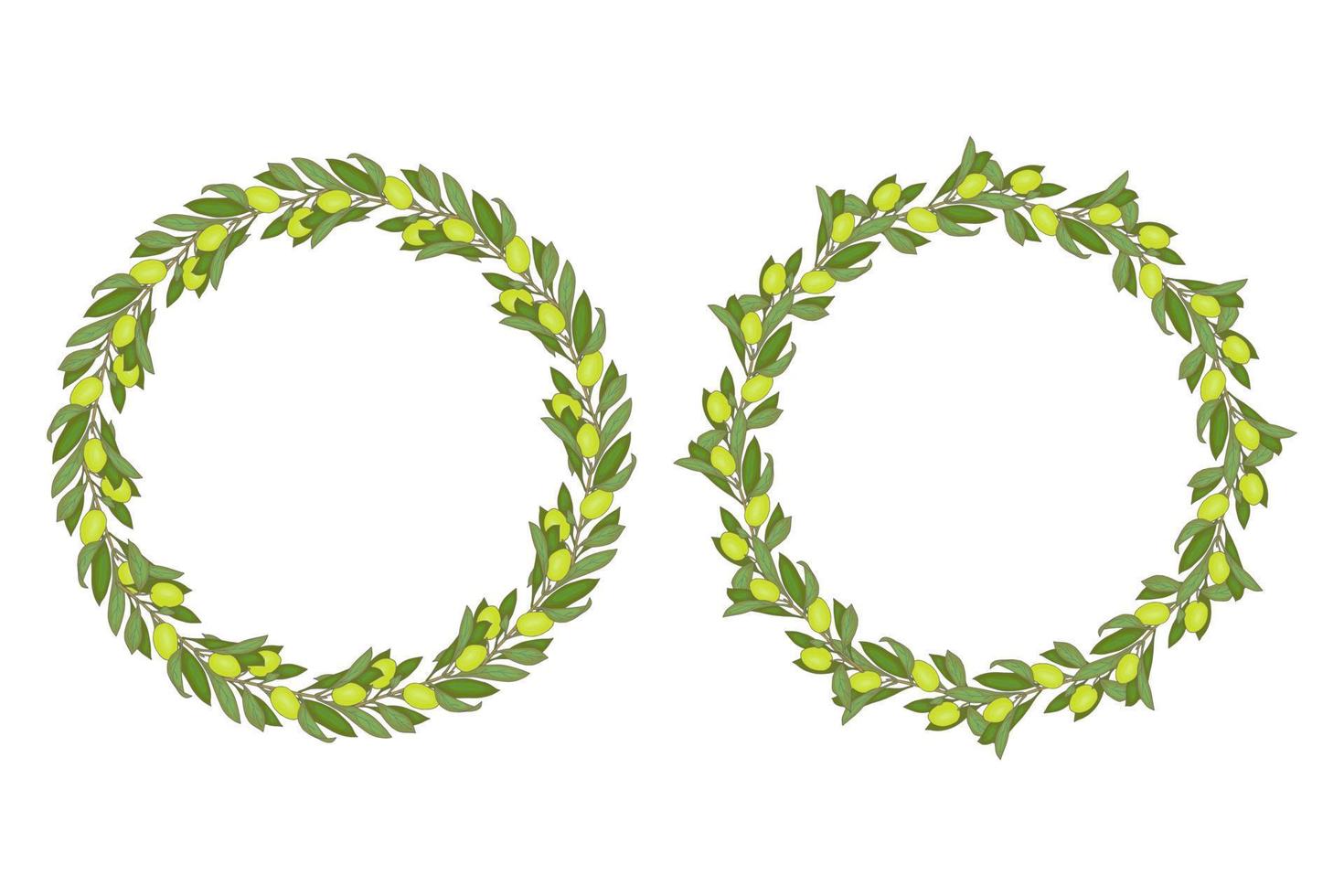Wreath green olives hand drawn doodle round frame with branches leaves and green berry. vector