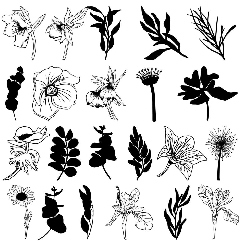 Set of line drawings of herbs, leaves, flowers, or berries, black and white graphics. Use for t-shirt prints, logos, cosmetics and beauty design, wedding invitations, posters, logo vector