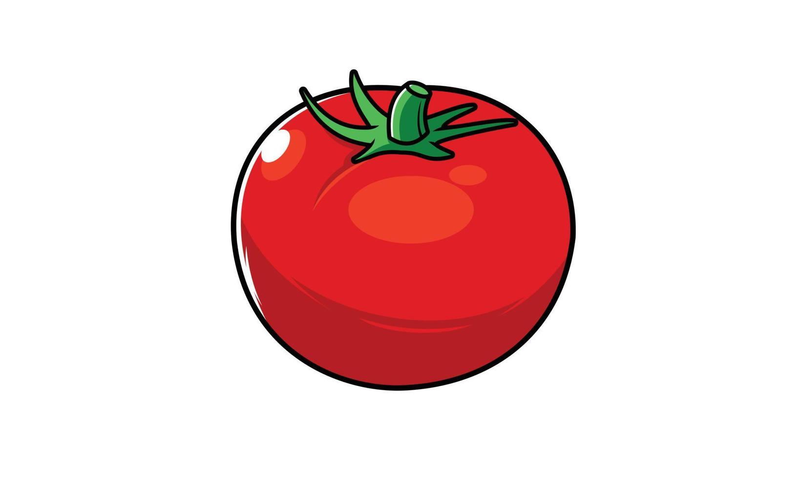 tomate, vegetal, vector, ilustración, diseño vector