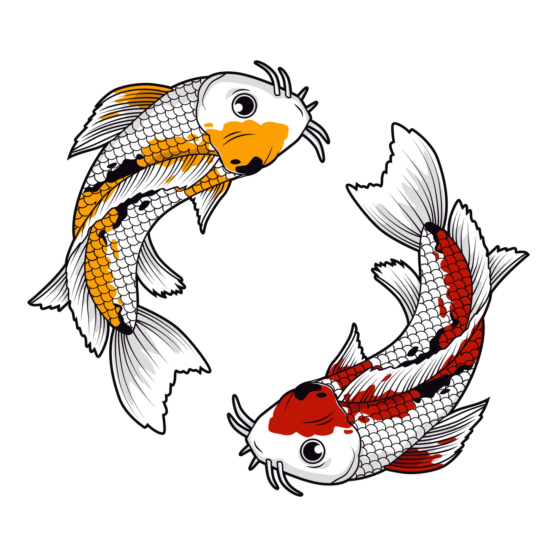 Koi fish drawing Royalty Free Vector Image - VectorStock