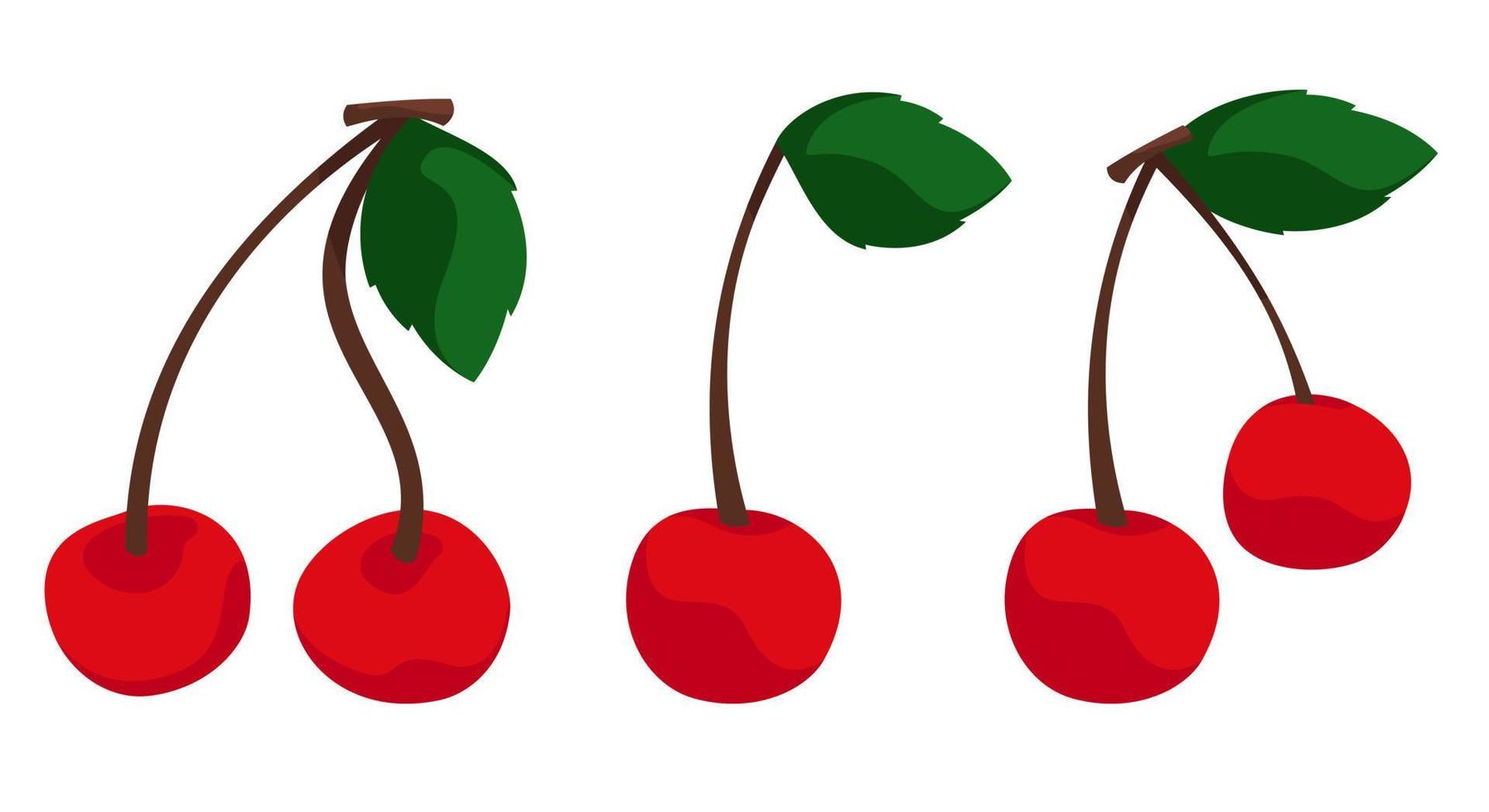 Set of different cherries. vector