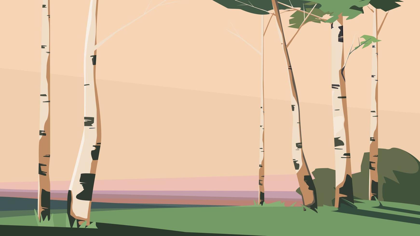 Birches at sunset. vector