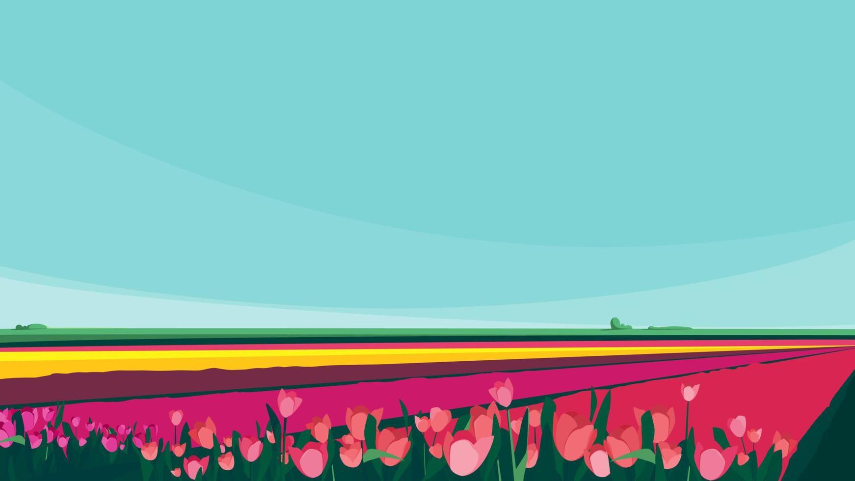 campos con tulipanes de diferentes colores. vector