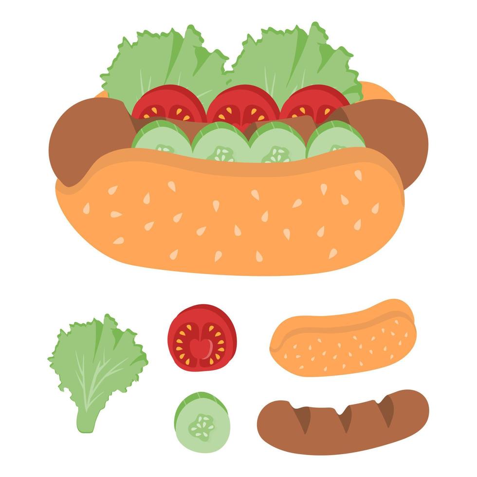 Set of ingredients for hot dogs vector