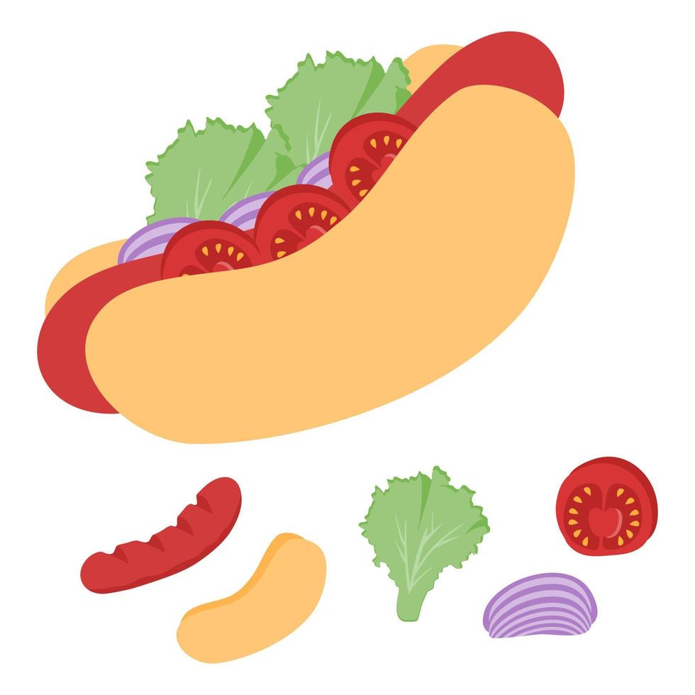 Hand drawn hot dogs ingredients vector