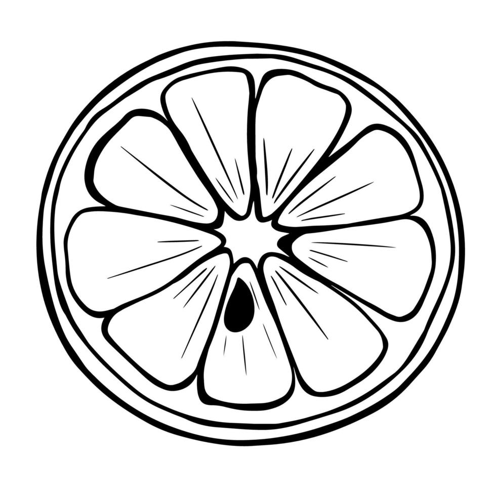 Black doodle of a lemon. Hand-drawn citrus illustration. vector