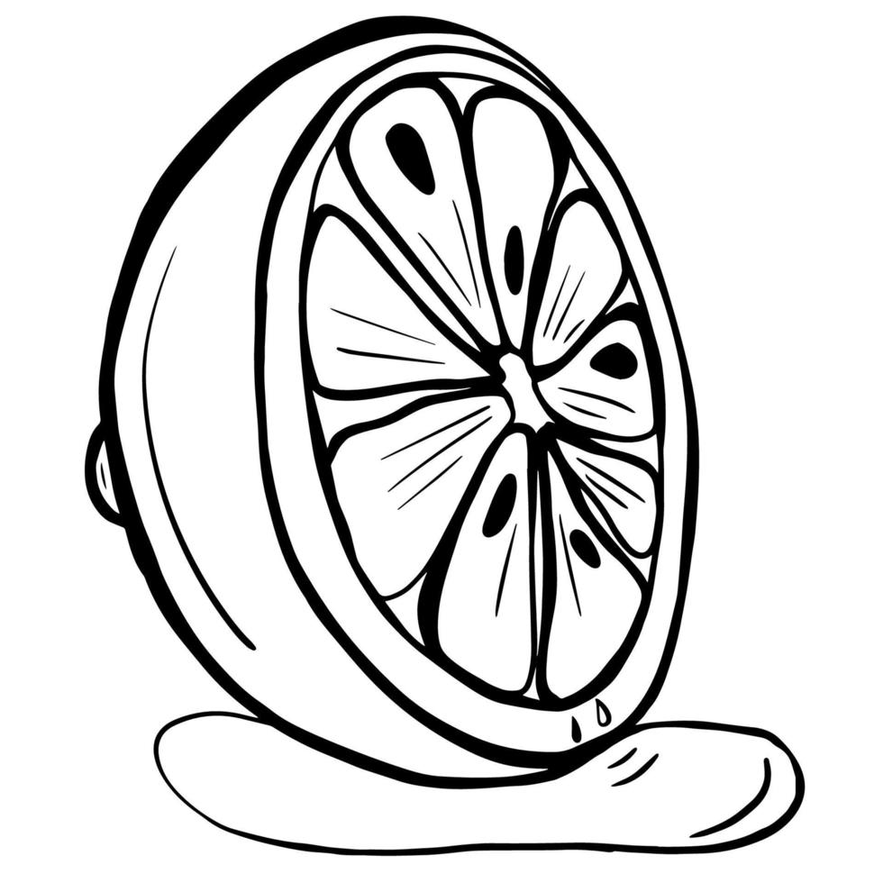 Black doodle of a lemon. Hand-drawn citrus illustration. vector