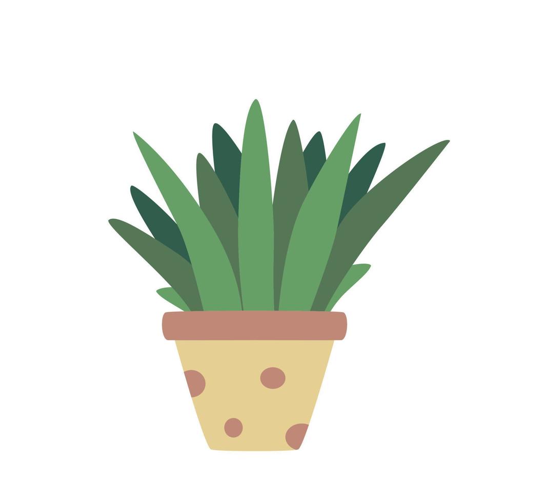 Aloe vera flower in a pot, vector illustration plant, landscaping of the room.