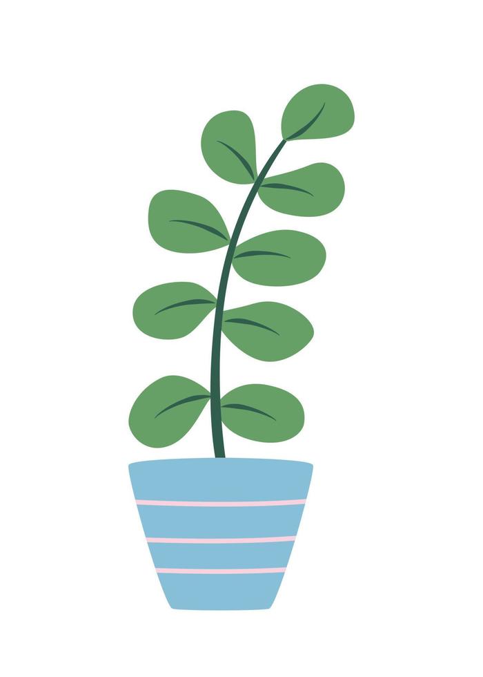 Ficus in a flower pot. Vector illustration flower with leaves for room decoration.