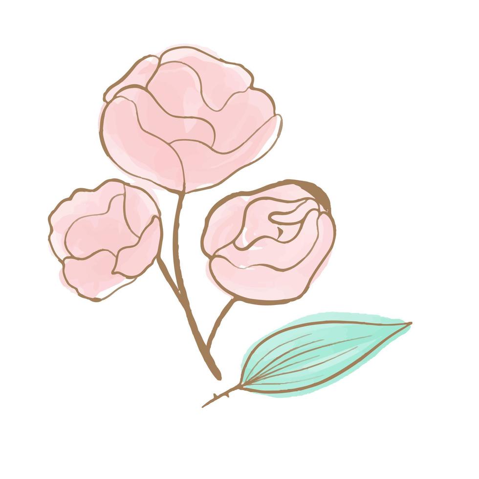 Vector Delicate pink peony with golden trim. Watercolor hand drawn illustration. Flower for wedding design.