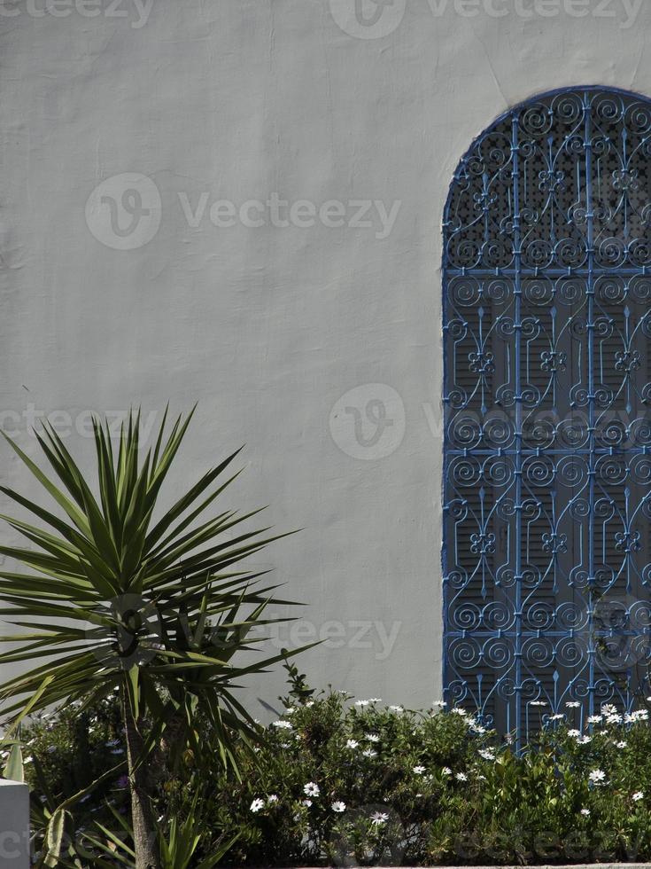 the city of tunis in tunisia photo