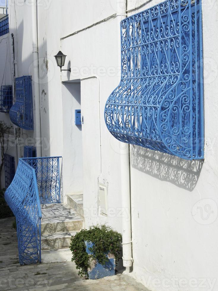 the city of tunis in tunisia photo