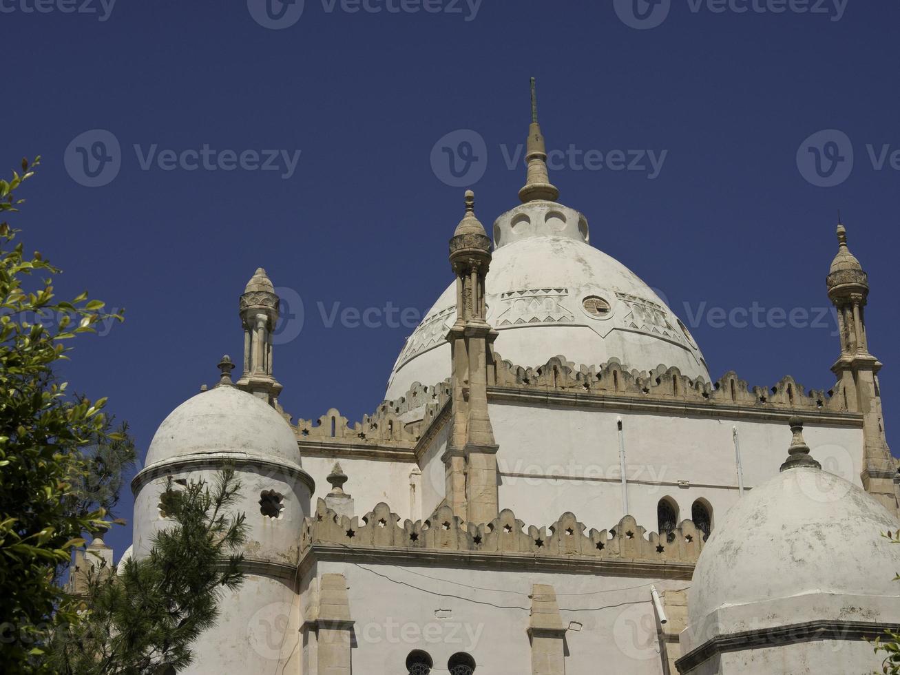 the city of tunis in tunisia photo