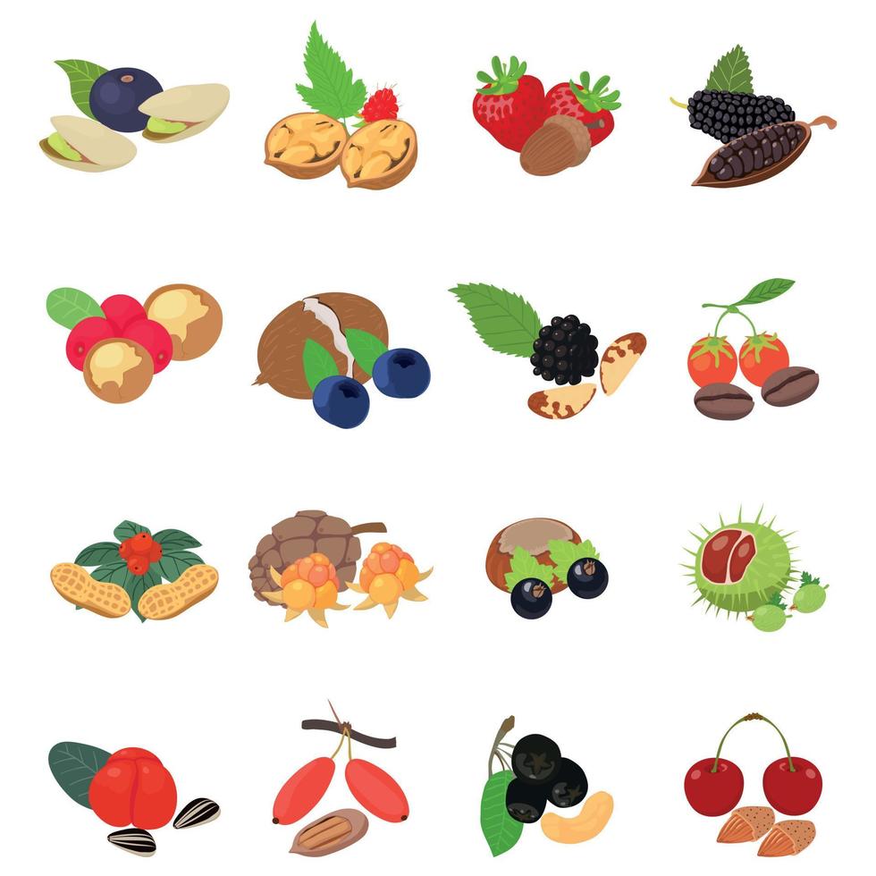 Forest food icons set, isometric style vector