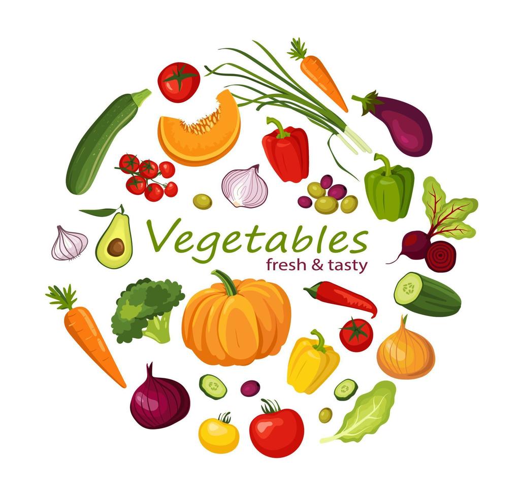 conjunto de alimentos conjunto de verduras. vector