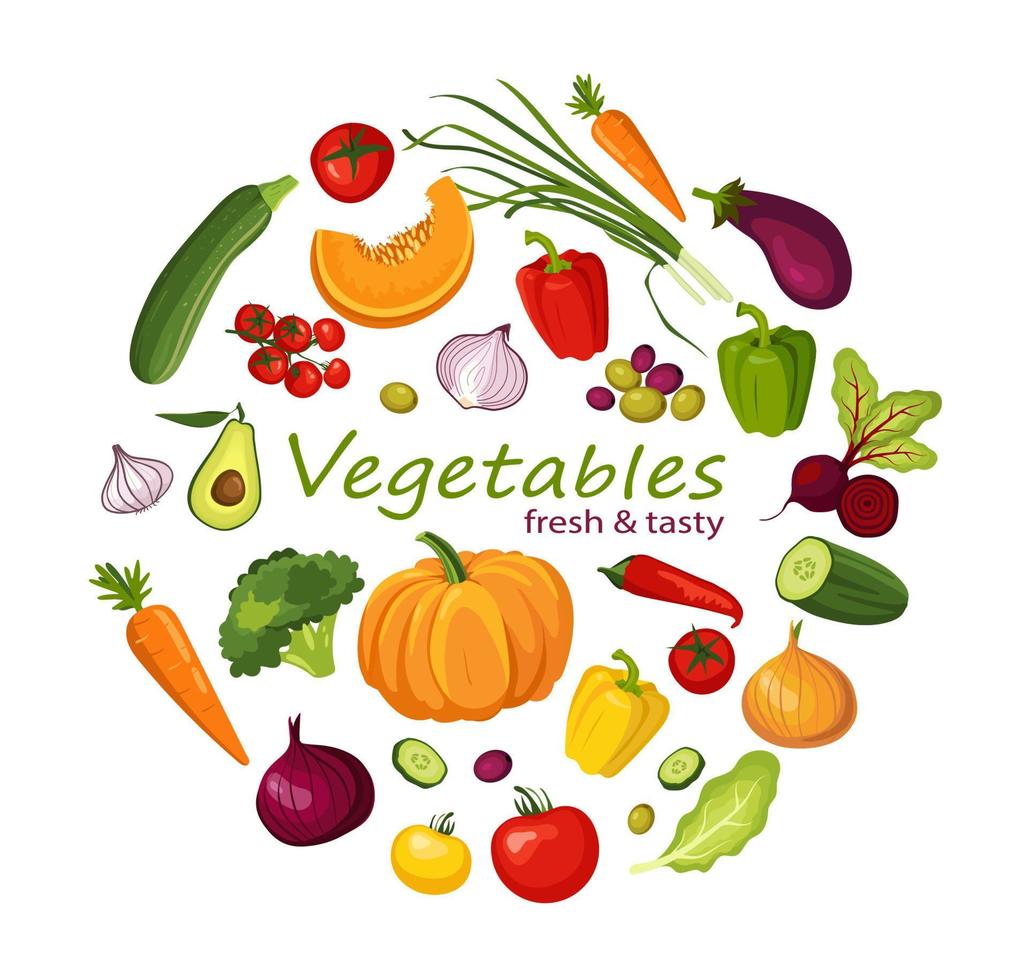 Food set. Set of vegetables. Vector